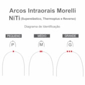 Arco NiTi Thermo Plus Retangular