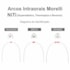 Arco NiTi Thermo Plus Retangular