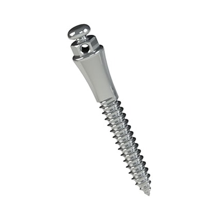 Miniparafuso Ortodôntico Extrarradicular de Aço (Compr.: 10mm Transm.: 4mm Ø2mm)